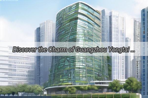 Discover the Charm of Guangzhou Yongtai A Hidden Gem in the Heart of Guangzhou